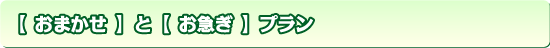 おまかせプランとお急ぎプラン